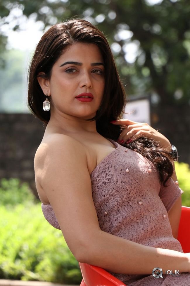 Ayesha-Singh-at-Yedu-Chepala-Katha-Movie-Prees-Meet